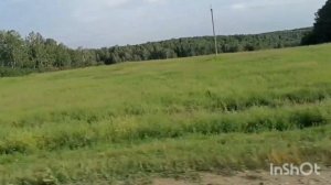 Природа Новосибирской области/часть 1