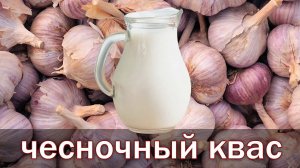 Рецепт чесночного кваса по  рецепту академика Болотова от канала Свой Среди Своих Кулинария
