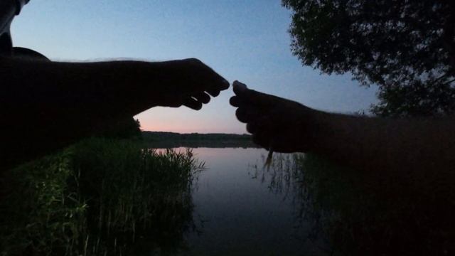 Рыбалка на ФИДЕР с ночевкой. Фидерная ловля на новом месте ...