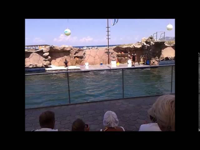 Анапский Дельфинарий Большой Утриш в открытом море. Шоу.