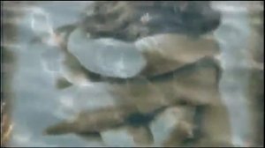 Сидя на красивом холме