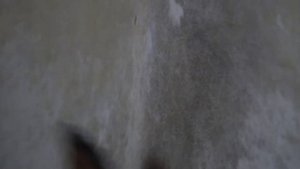 ЛУЧШАЯ МЕДИТАЦИЯ РИТМ БАРСА || АКТИВАЦИЯ СПОСОБНОСТЕЙ || ШАМАНСКИЙ БУБЕН || ЧИСТЫЙ ЗВУК ЧАСТОТА 7 Г