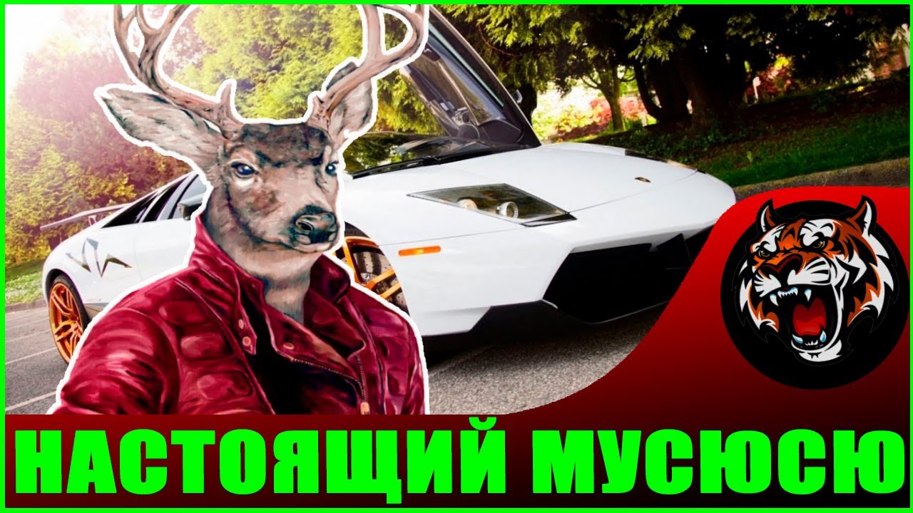 Настоящий МУСЮСЮ (Виктория Башкирова)