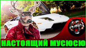 Настоящий МУСЮСЮ (Виктория Башкирова)