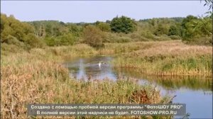 Центрально-Черноземный Курский заповедник