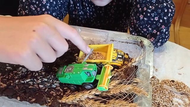 От зернышка до хлеба. Как появляется хлеб на столе. смотреть онлайн