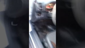 Функционал боковых подножек на Honda CRV-2