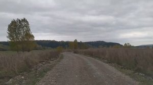 Старый город.Стихи Андрей Тамбовцев. Музыка и исполнение Николай Шершень.Видеомонтаж Елены Рыжаковой