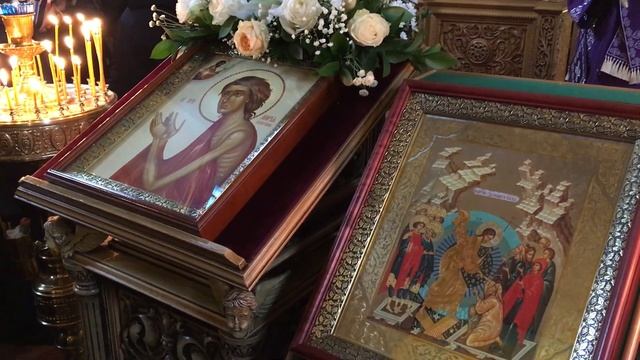 2019 04 14 Призри с небесе, Боже, и виждь, и посети виноград сей смотреть онлайн