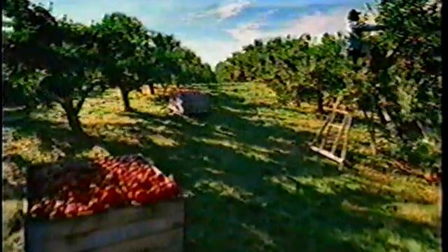 Gerber Baby Food - 2004 смотреть онлайн