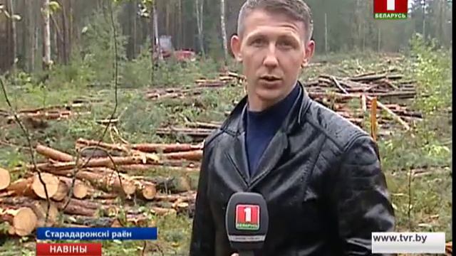 Надзвычайная сітуацыя аб'яўлена ў 4 раёнах Мінскай вобласці смотреть онлайн