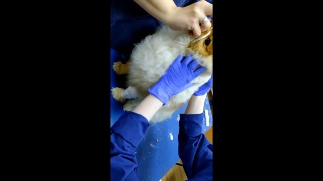 Анапа. Забавности и косяки Анапы (серия 17) смотреть онлайн