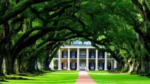 Лилонгве  История  (Малави)