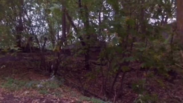 Неопознанное существо было замечанно в Липецкой области!! смотреть онлайн