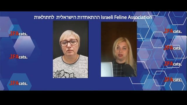 "Первые шаги заводчика кошек, выбор первых пар, договор", "Делимся опытом" выпуск 3 смотреть онлайн