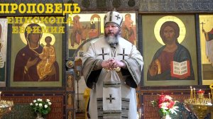 Проповедь епископа Луховицкого Евфимия в праздник Крещения руси.