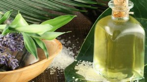 как быстро избавиться от вшей и гнид.в домашних условиях.