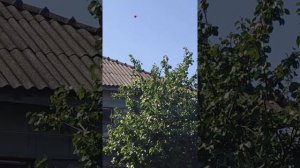 Шарик улетел в космос
