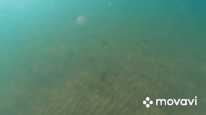 #Анапа. Сегодня 31.08.2022. Чёрное море.Кварцевый песок. Утро 8.00 ОСТОРОЖНО МЕДУЗЫ.