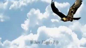 Christopher Willis – Where Eagles Fly