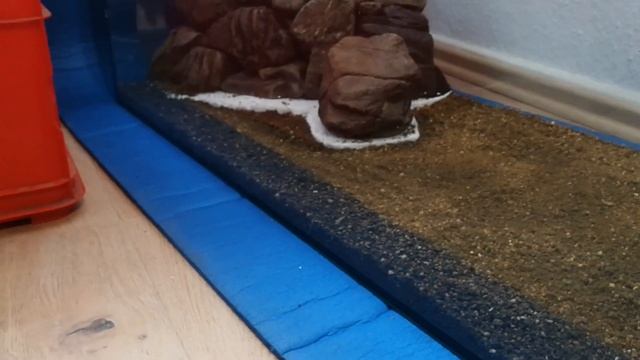 Видео 4: Акваскейп- из 50 Л. в аквариум 160 литров.Коряги, камни. Рыбки. Природный.Тумба. Фон. смотреть онлайн