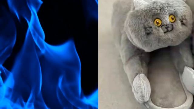 Что можно подарить?  Домашние тапочки.