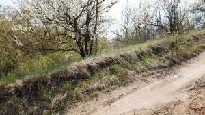 HAVAL H6 ALL NEW 2019.ЧТО ВАС ЖДЕТ НА БЕЗДОРОЖЬЕ.КАК СЕБЯ ПОВЕДЕТ АВТО!!!