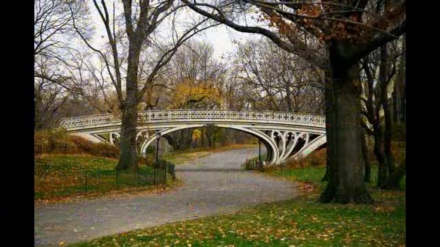 Central Park - Central Park Zoo - Central Park Map facts mall history restaurant