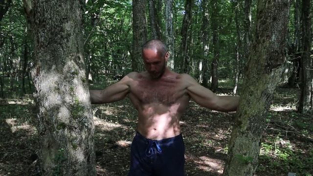 Накачать СПИНУ НА ТУРНИКЕ ЗА МЕСЯЦ смотреть онлайн