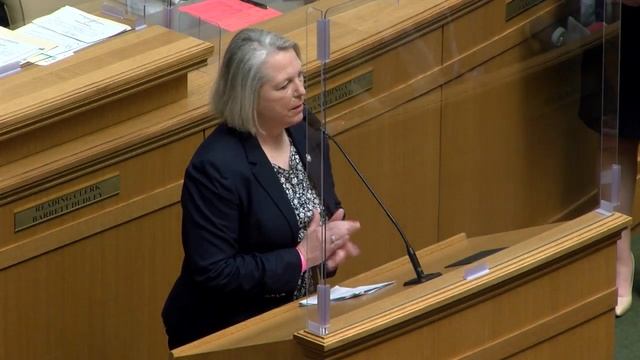 Arkansas lawmakers react to overriding of Gov. Hutchinson veto of 'SAFE Act' bill смотреть онлайн