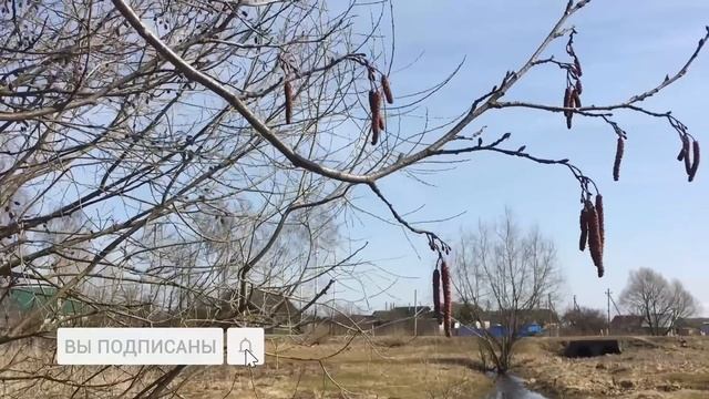 ПАСХА 2021. Что НУЖНО СДЕЛАТЬ В ДЕНЬ ПАСХИ для благополучия и ЧТО НЕЛЬЗЯ ДЕЛАТЬ / ДОБРЫЕ знания смотреть онлайн