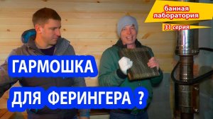 Дешевле,  МЕНЬШЕ! А справиться ли? Новая Печь для бани Ферингер.