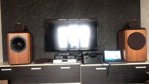 Sheng YA A25 vs Bowers and Wilkins 801 S80