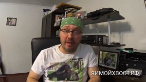 Ложная беременность у собак. Что делать?!