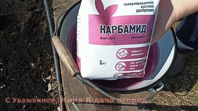 ПОСЛЕ ТАКОЙ ПОДКОРМКИ ВЕСНОЙ ПИОНЫ ЦВЕТУТ КАК СУМАСШЕДШИЕ ??САМЫЙ РАННИЙ УХОД И ПОДКОРМКА ПИОНОВ смотреть онлайн