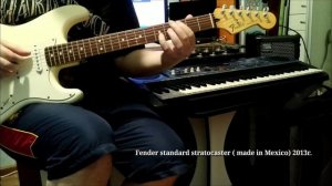 Fender Standard Stratocaster Made in Mexico 2013г.
