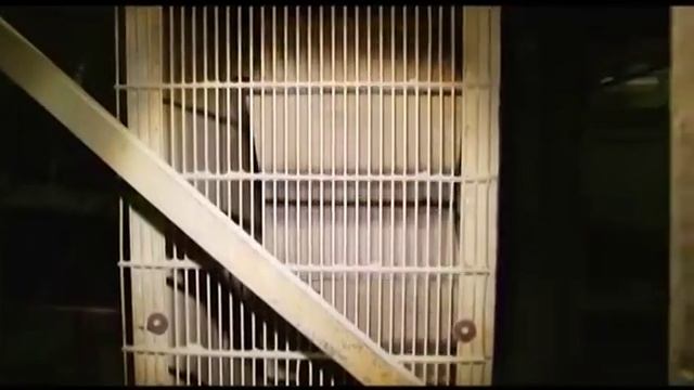 "Процесс" - изготовление кирпичей смотреть онлайн