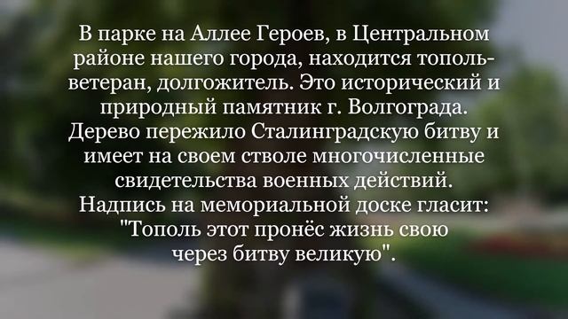 Мой край родной Видеозанятие Леонова Н Н смотреть онлайн