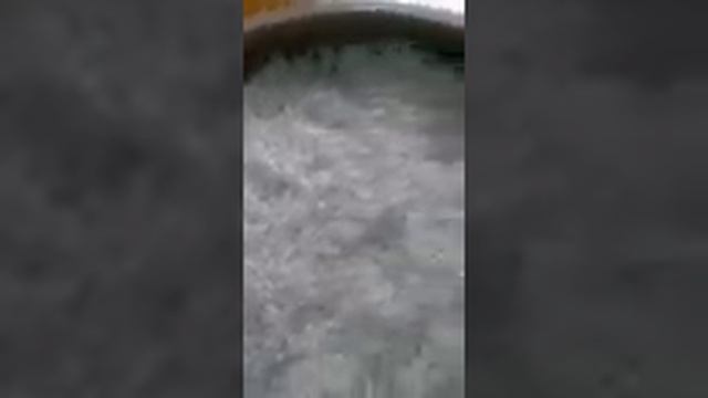 Посадка мелких семян на снег. Смотрим что из этого вышло. смотреть онлайн