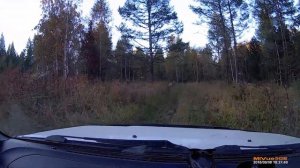 Дорога на Кутурчины ч/з лес