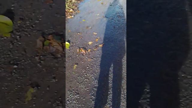 15 ноября 2023 г. смотреть онлайн