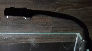 Гибкий светильник для аквариума своими руками за копейки