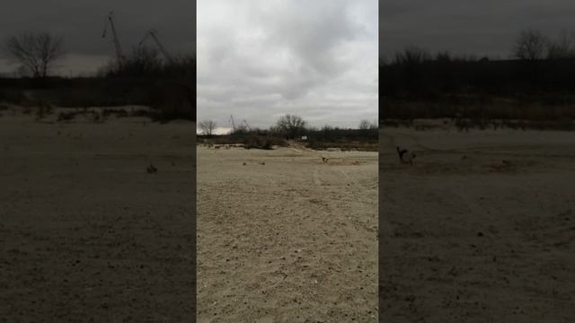 Прослушивание AP-M61SE SYLVESTER смотреть онлайн