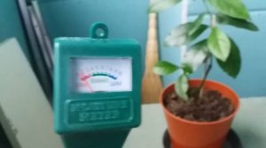 Измеритель влажность почвы" Цитрусовых"