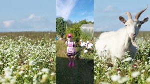 Рондина Таисия, 7 лет, Н.М. Рубцов "Коза"