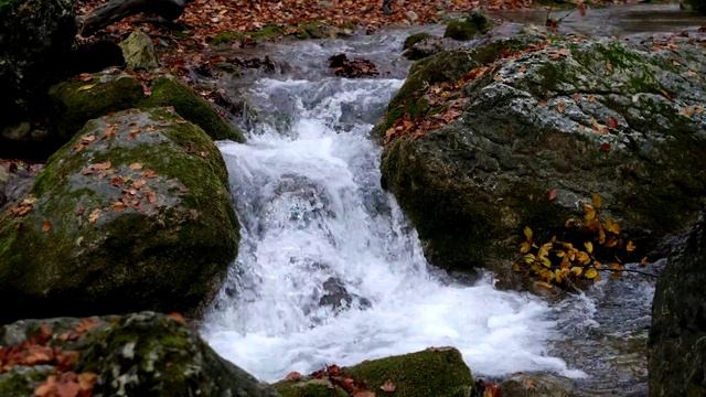 Тест видеорежима Fujifilm X-T2. ISO 200 смотреть онлайн