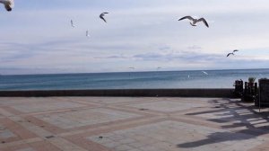 Крым Ялта: Крещенские купания в ЛЕДЯНОМ МОРЕ. Крым сегодня. Крещенские морозы в Крыму