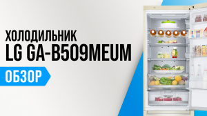 LG GA-B509MEUM: двухкамерный No Frost холодильник с дисплеем и электронным управлением