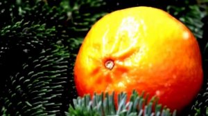 Стихи про Новый год "Когда запахнет хвоей с мандаринами"  Андрей Чернышов