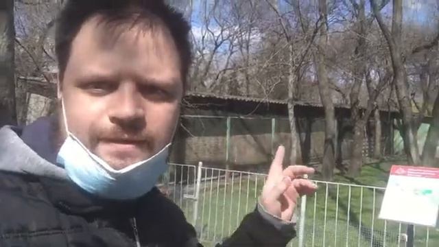 Едем в Николаевский зоопарк. Прогулка по пустому трц в Херсоне. Карантин смотреть онлайн
